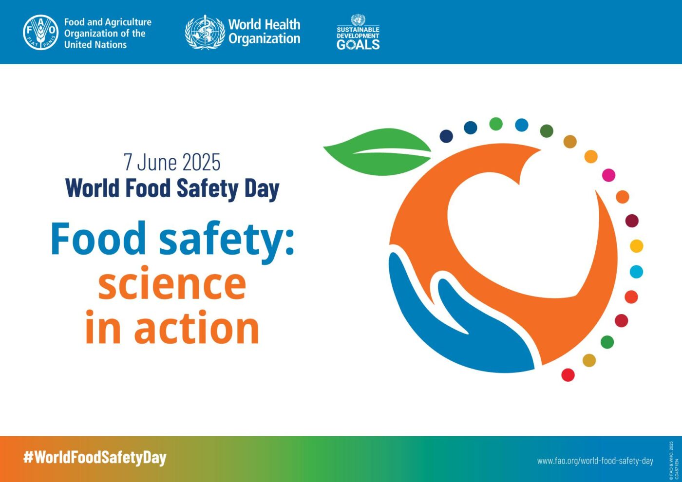 On World Food Safety Day, ISDI celebrates the fundamental role of science in ensuring safe and nutritious foods for people with special dietary needs