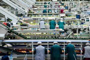 Comentarios de ISDI sobre el Grupo de Elaboración de Directrices de la OMS para los denominados «alimentos ultraprocesados»